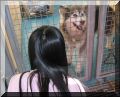 BCSPCA OCT 2006 025.jpg